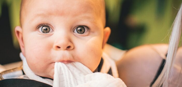 Nasensauger Baby Test